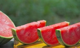 北美网红吃瓜视频大全下载,揭秘网络红人的幕后故事