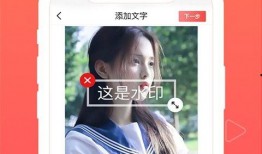 无痕爆料完整版视频下载,揭秘事件真相与幕后黑幕