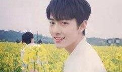 杨紫和肖战最新爆料真的,揭秘幕后故事与精彩瞬间